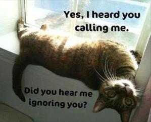 cat-calling